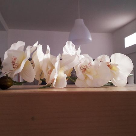 Sadinahome Setubal Bagian luar foto