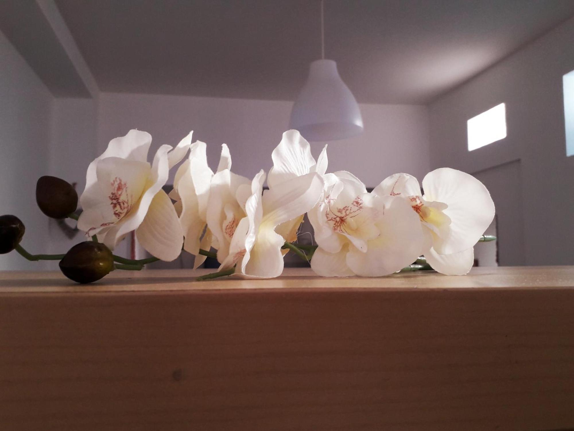 Sadinahome Setubal Bagian luar foto